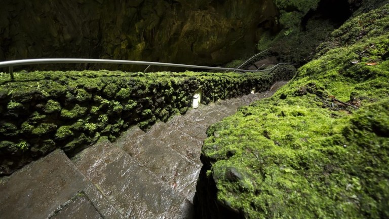Stone steps leading into a moss-covered cave with a metal handrail.