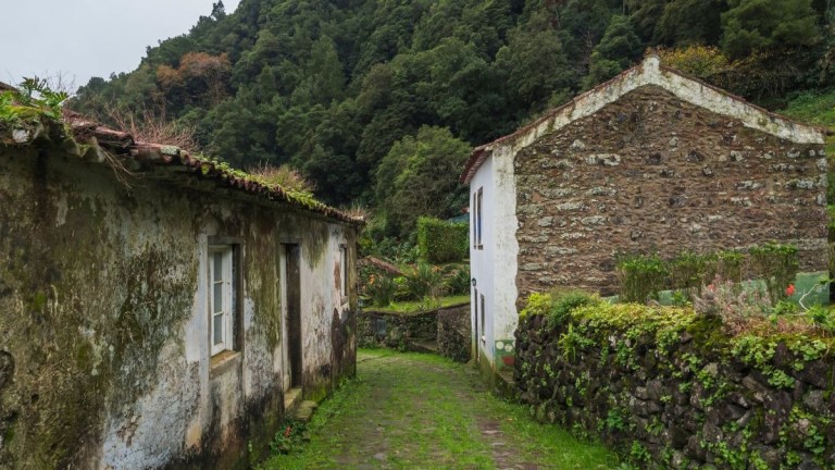 Mossy stone path between rustic houses in a lush forest setting.