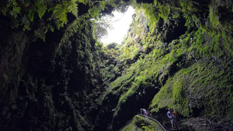 People exploring a lush, mossy cave with light shining through the opening above.