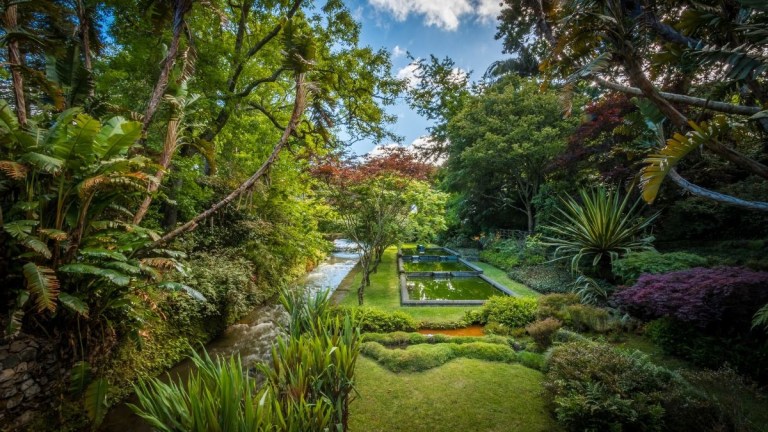 Lush garden with trees, shrubs, a small stream, and a pond under a blue sky.