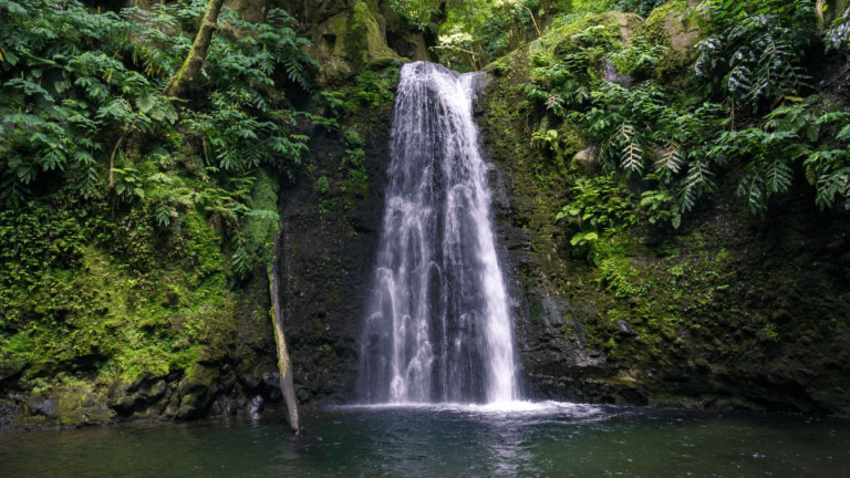 Waterfall cascading into a serene, forested pool.
