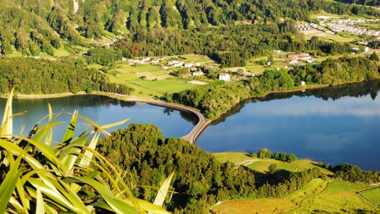 Scenic view of a lake with a bridge, surrounded by greenery and distant buildings.