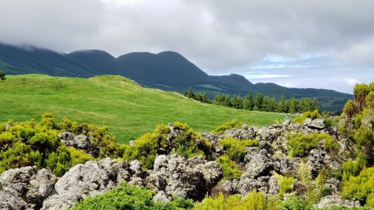 Lush green landscape with rocky foreground and distant mountains under a cloudy sky.