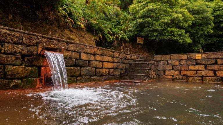 Water flowing from a stone wall into a pool surrounded by greenery.
