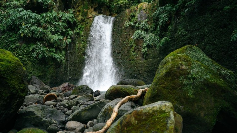 Waterfall cascading down rocks surrounded by lush greenery and moss-covered stones.