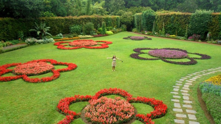 Person standing in garden with large flower-shaped flowerbeds.