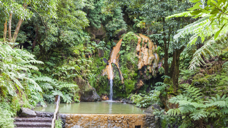 Tropical waterfall cascading into a small pond surrounded by lush green foliage.