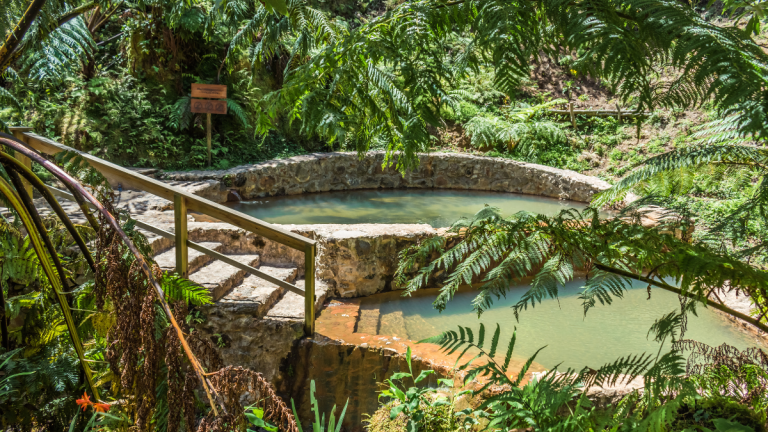 Stone steps leading to circular stone pools surrounded by lush greenery.