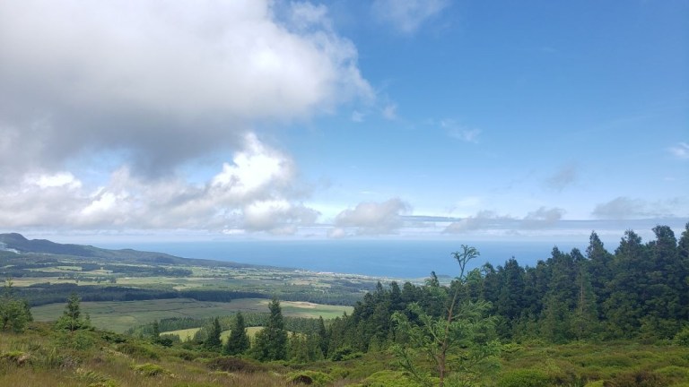 Scenic view of fields, forest, and ocean under a blue sky with clouds.