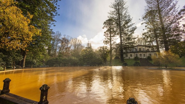 A brown pond surrounded by trees and a white house in the background.
