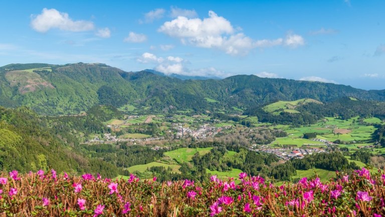 Scenic view of a valley with blooming pink flowers and lush green hills under a clear blue sky.