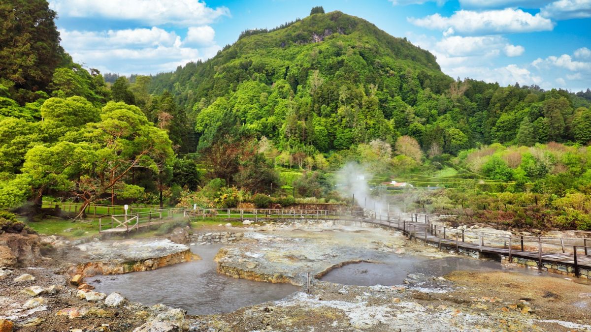 Lush green forest with steaming hot springs and a wooden walkway.