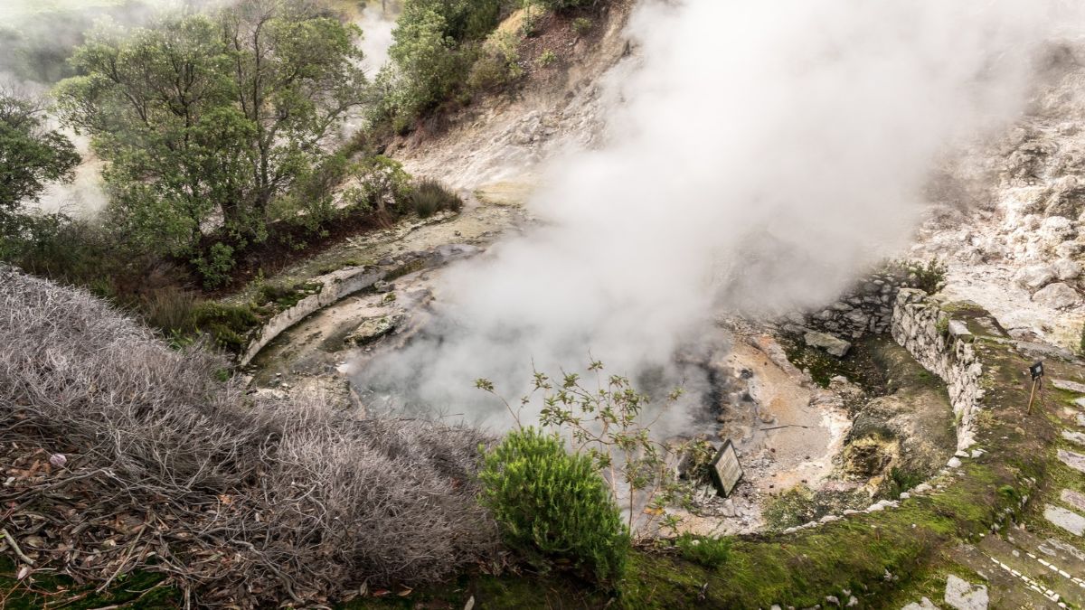 Steam rises from a natural hot spring surrounded by trees and rocky terrain.