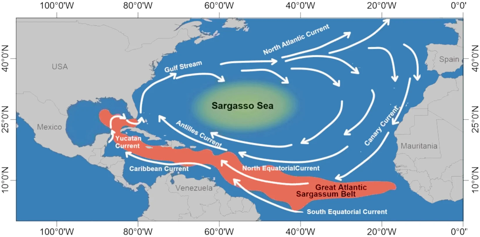 Map of ocean currents around the Sargasso Sea and Great Atlantic Sargassum Belt.