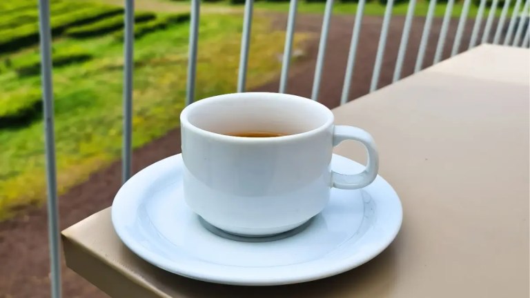 White coffee cup on saucer on a balcony table overlooking greenery.