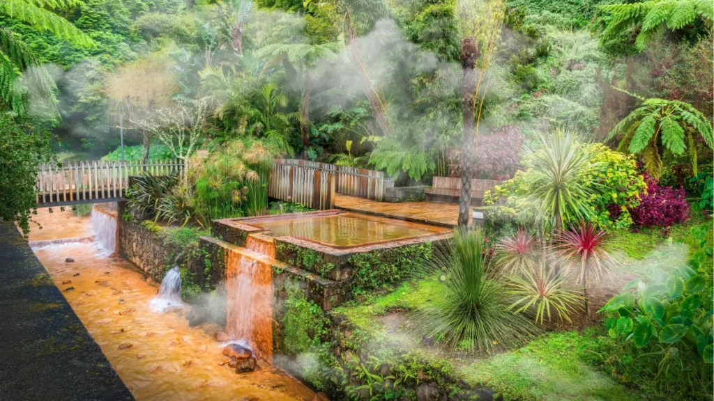 Lush garden with tropical plants and a small waterfall, surrounded by mist.
